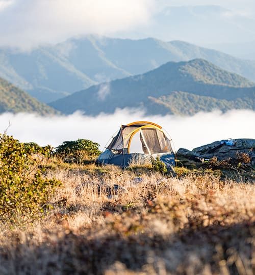 camp-3-nzqd6qp3daxl6ex9eepdotmzv12oddu3c8rvarr95k (1)